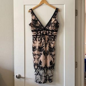 Bardot nude and black floral lace dress